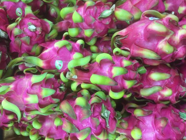 火龙果,金麒麟果