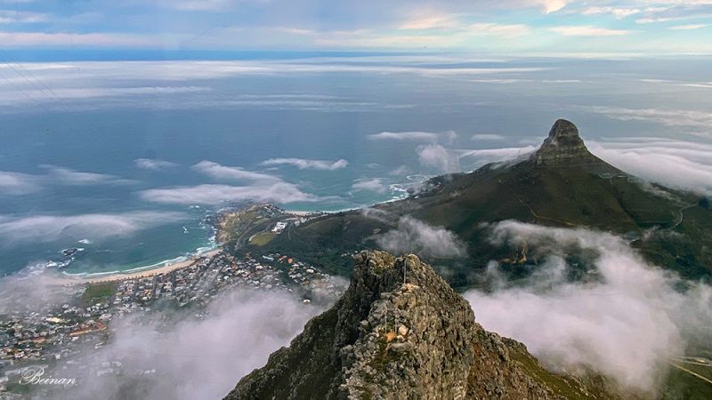 山本　丘人、『庭上秋韻』、希少画集画、高級新品額・額装付 Lot 238 - CHEN WEN HSI 陳文希 (CHEN WENXI, SINGAPORE,