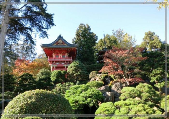 旧金山金门公园里的日本茶园